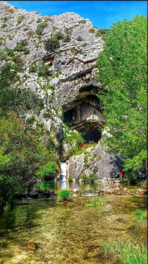 Casa Rural Las Rosas De Бенаохан Экстерьер фото