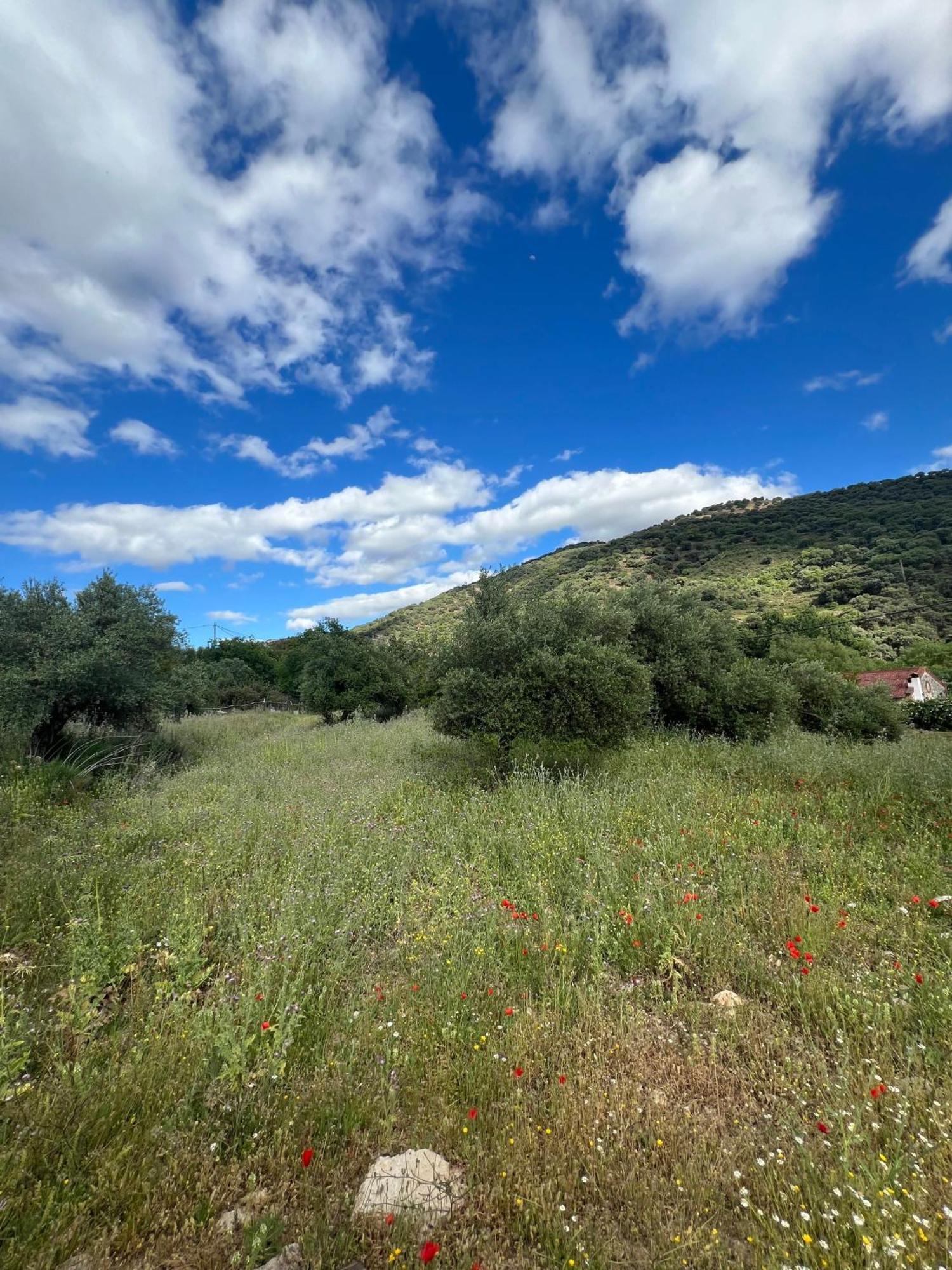Casa Rural Las Rosas De Бенаохан Экстерьер фото